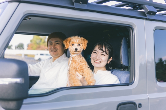 車で出かける犬とカップル
