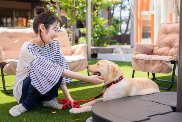 ドッグカフェで愛犬とくつろぐ女性